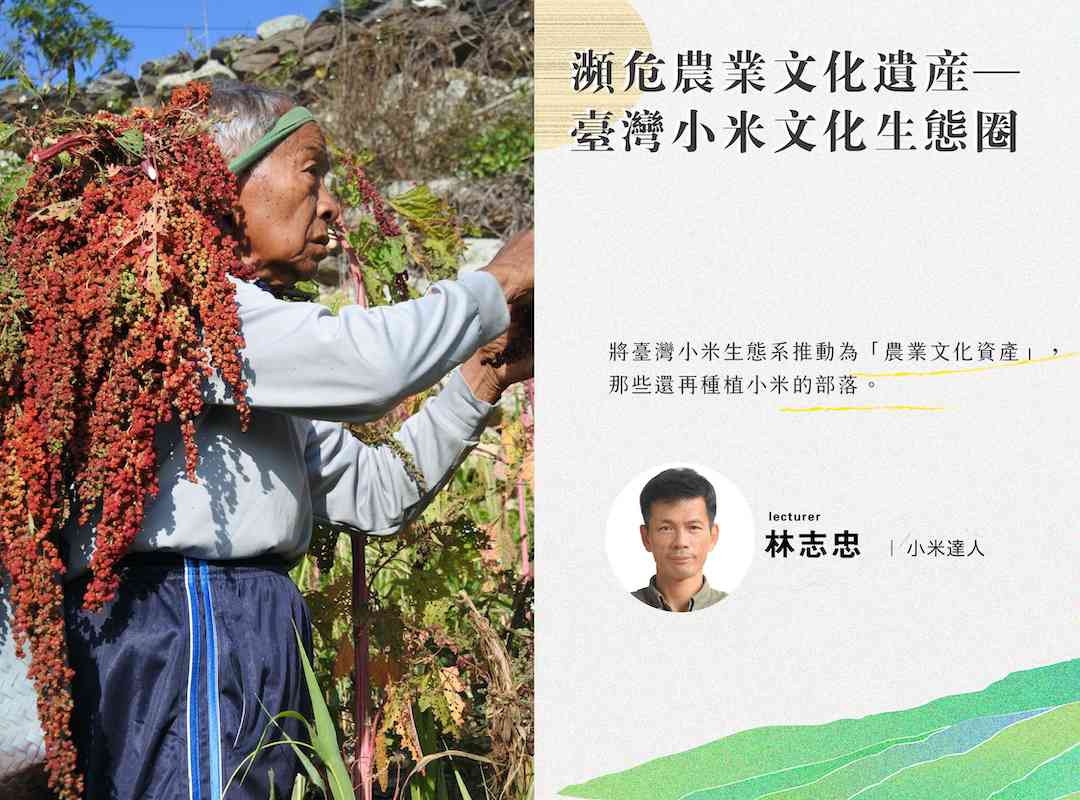 流域創生 x 華山講堂 –【瀕危農業文化遺產—臺灣小米文化生態圈 】