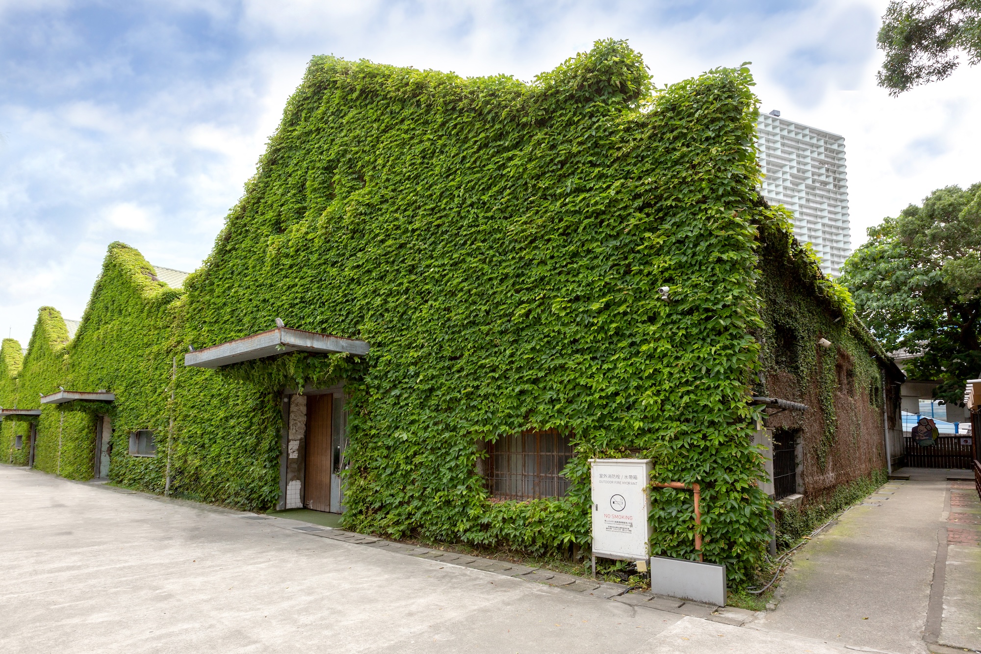 1967年，中國共產黨主席毛澤東掀起文化大革命，當時在北京市中心展示了他的巨大畫像與標語。（攝影／JEAN VINCENT／AFP）